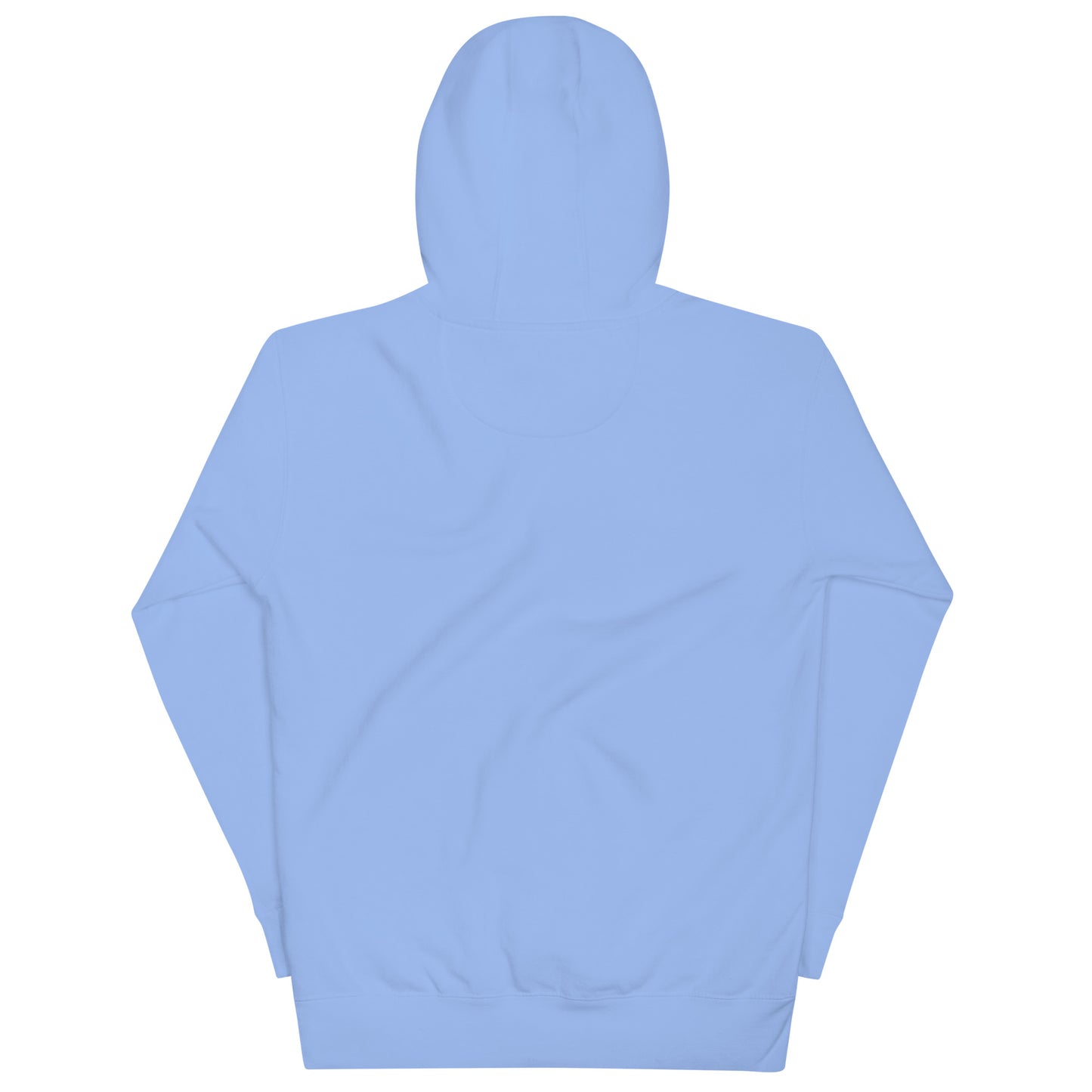 Carolina Blue unisex hoodie featuring winking Santa Claus face and "I Work 1 Day" text
